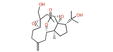 2-Acetoxystolonidiol